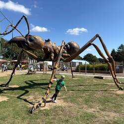 From their summer holiday at Bug World.