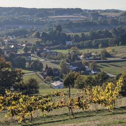 Und hier der Blick auf das herbstliche Limbach