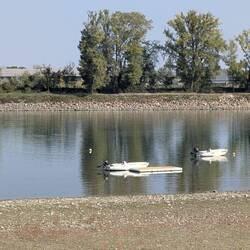 Wie armselig die Donau doch ohne Wasser aussieht