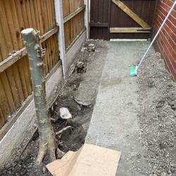 Removing stumps