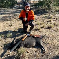 First Pig on the Line 🤙