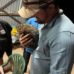 Spiky Friend