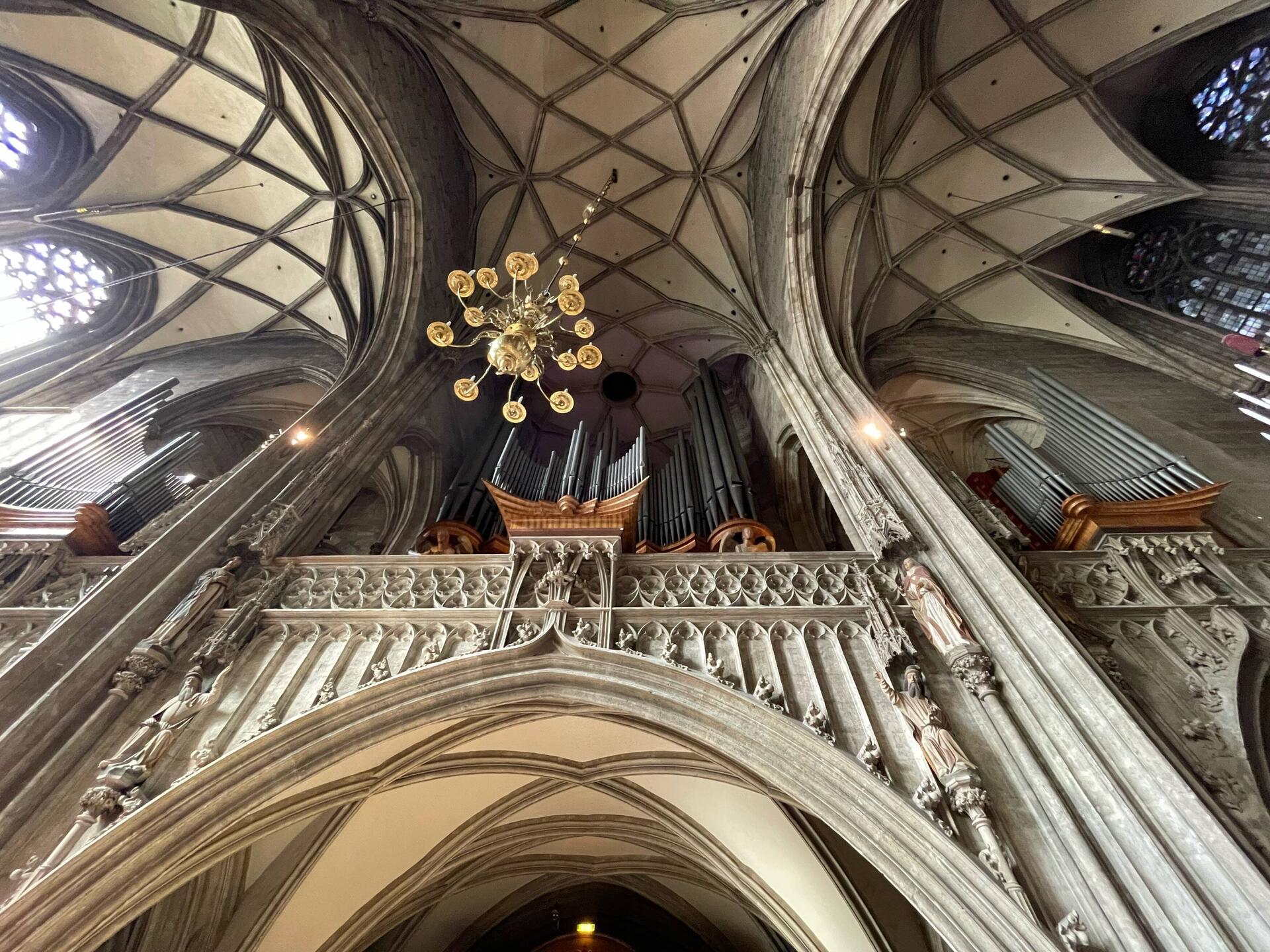 Orgel des Stefansdom