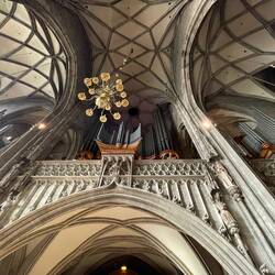 Orgel des Stefansdom