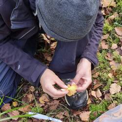 Jeden Pilz genau prüfen.