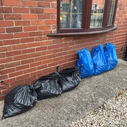 All bagged up, ready for pickup!