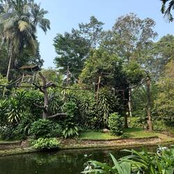 Impressionen aus dem Zoo