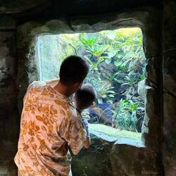 Impressionen aus dem Zoo