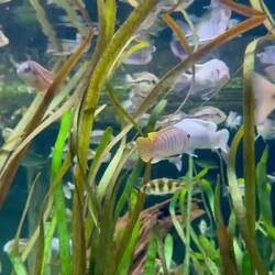 Impressionen aus dem Park "River Wonders"