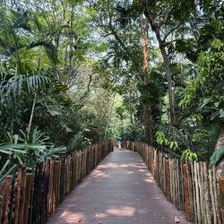 Impressionen aus dem Zoo