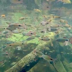 Impressionen aus dem Park "River Wonders"