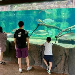 Impressionen aus dem Park "River Wonders"