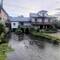 What a darling house! Duckies!
