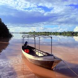Gambia-River 🙃