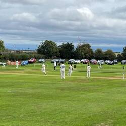 An oval field surrounds the long "pitch". There's a wicket at each end of the pitch.