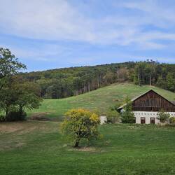 Alpine farm