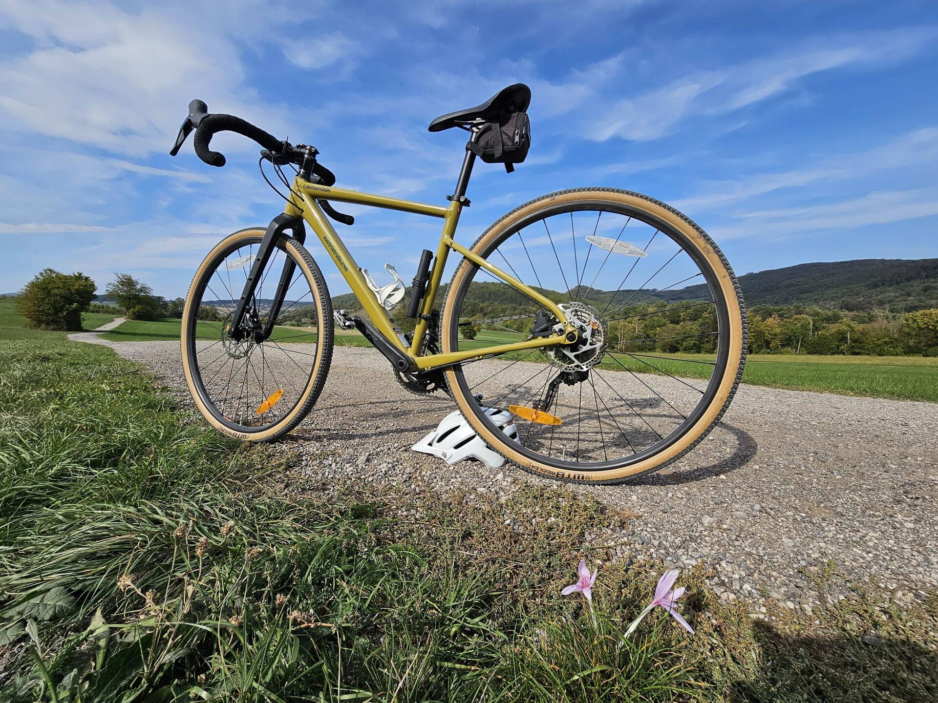 Colchicum and gravel bike (Cannondale)