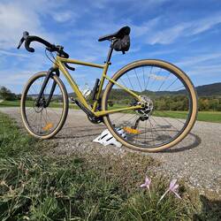 Colchicum and gravel bike (Cannondale)