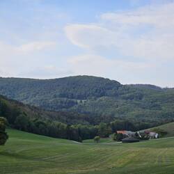 Alpine meadow