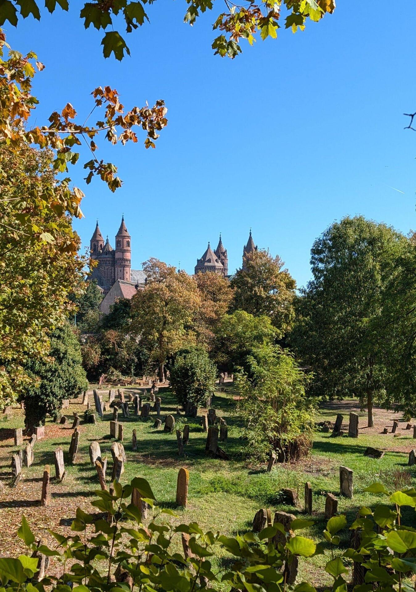 Judenfriedhof mit Blick auf den Dom