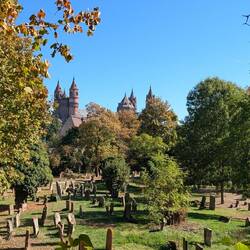 Judenfriedhof mit Blick auf den Dom