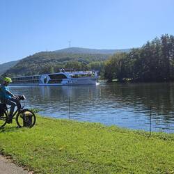 Viele Schweizer Flußkreuzfahrtschiffe, kommen von Basel über den Rhein und Main, hier am Main...