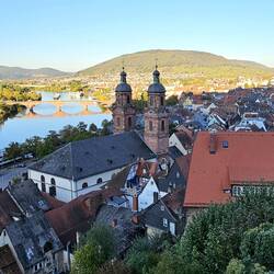 ...und die gesamte Altstadt mit Main und Alter Mainbrücke im Abendlicht.