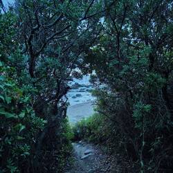 Der Weg zum Strand 🥰
