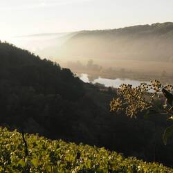 Das Elbtal selbst liegt noch im Dunst und zeigt wunderschöne Silhouetten