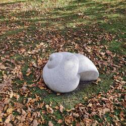 Von der anderen Seite: Schöne Muscheln