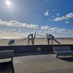Dino am Strand gesichtet