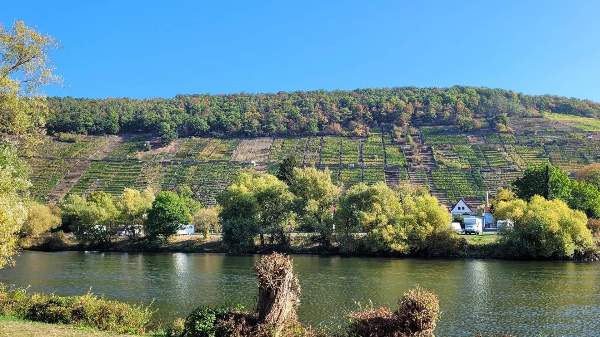 Blick auf die letzten Weinhänge auf der Tour