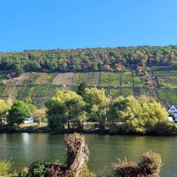 Blick auf die letzten Weinhänge auf der Tour