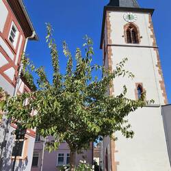 Freistehender alter Glockenturm (1591) von St. Peter und Paul in Obernburg