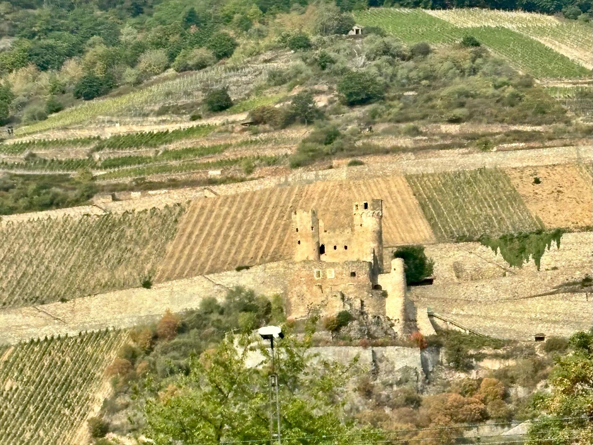 Burg Ehrenfels
