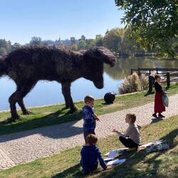 Am See steht ein Tier - die eierlegende Wollmilchsau?