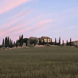 Dawn, leaving Gallina