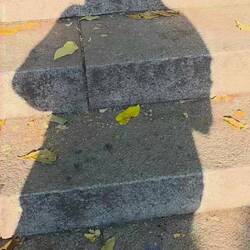 Die Schstten meiner selbst