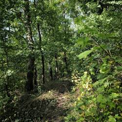 Park Buttelstedt