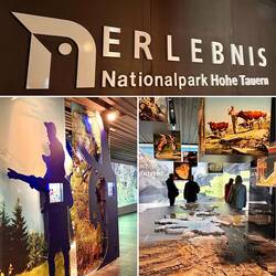 In diversen Ausstellungsräumen gibt es viel zu sehen.