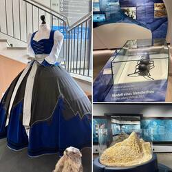 Kleid, dass Kaiserin Elisabeth bei ihrem Besuch vor 170 Jahren trug.
