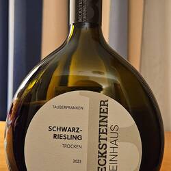 Auf den gelungenen Abschluss unserer Radtour stoßen wir mit einem 23er Schwarzriesling an 🍷