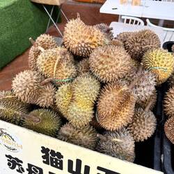 Impressionen aus Chinatown - Durian