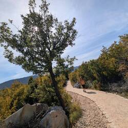 Aussichtsreicher kurzer Wanderweg oberhalb der Schlucht