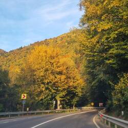 der goldene Oktober begrüßt uns