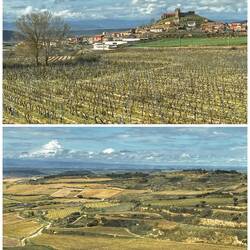 Etwas grüner wars im Frühjahr schon