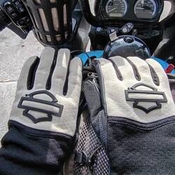 New gloves
