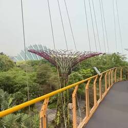 auf dem OCBC Skyway