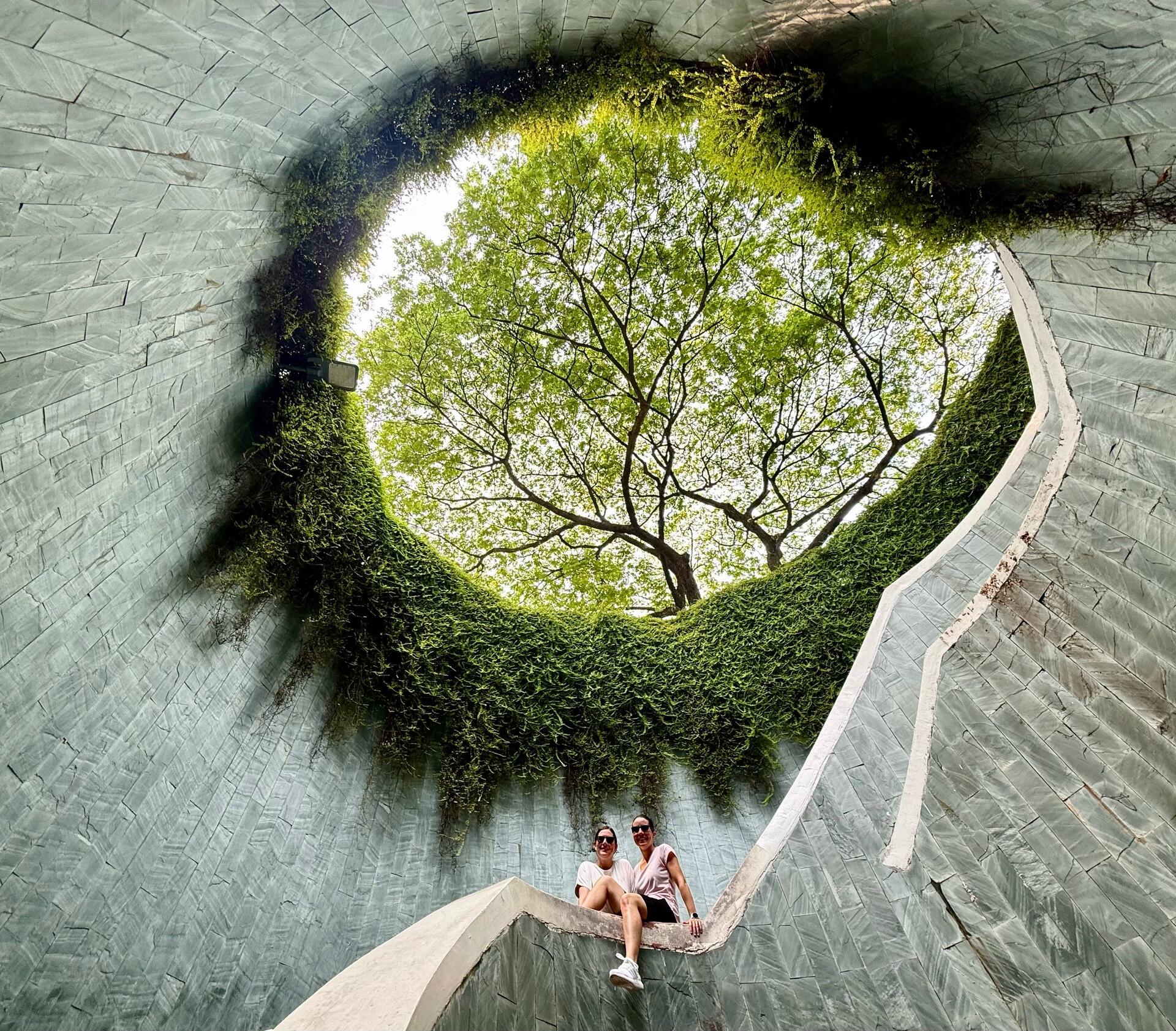 Fort Canning Tree Tunnel