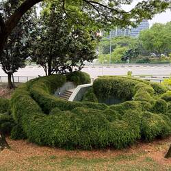 der Fort Canning Tree Tunnel